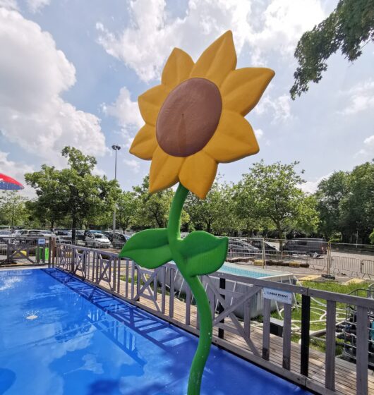 location jeu aquatique tournesol lille