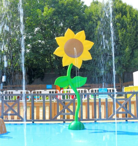 location jeu aquatique tournesol