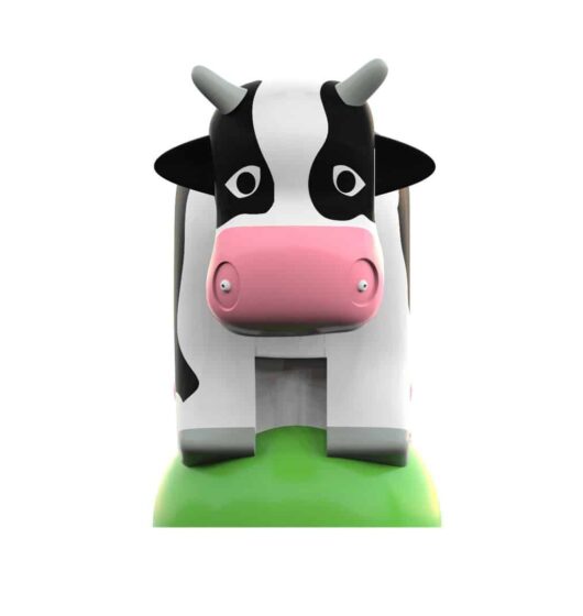 aire de jeux aquatiques vache