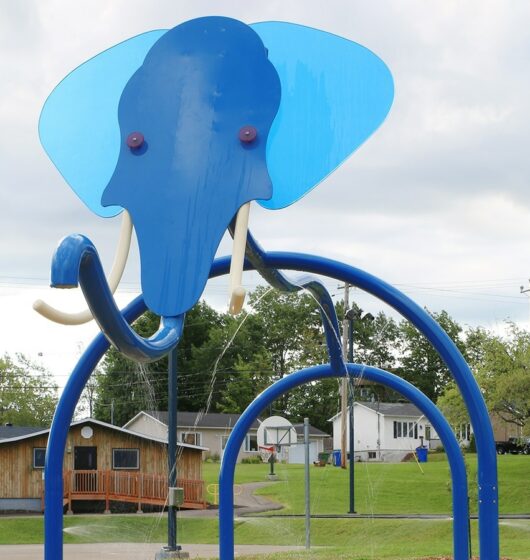 vente aire de jeux aquatiques inox savane