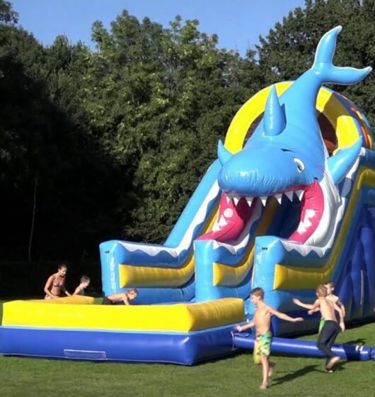 gonflable aquatique requin