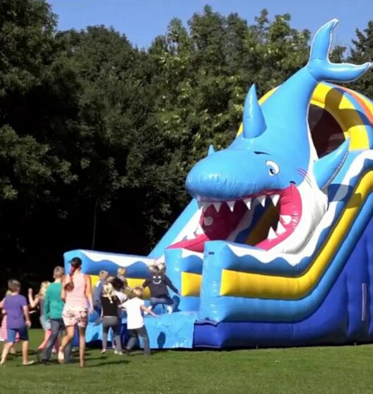location gonflable aquatique requin