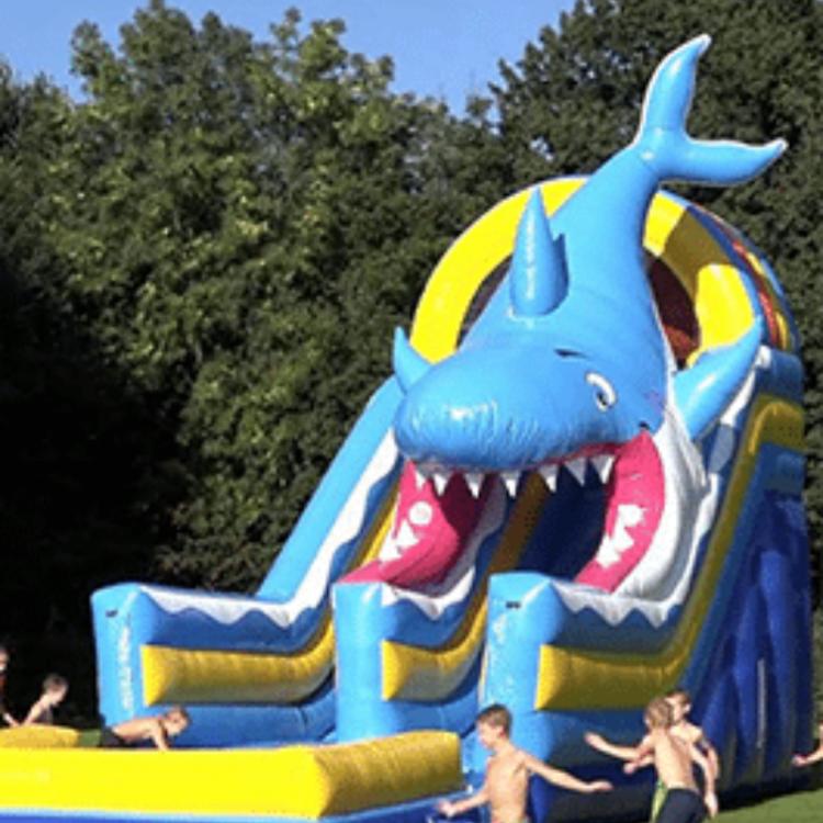 vente toboggan gonflable requin